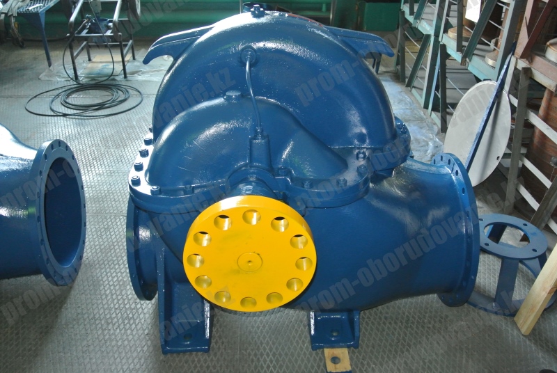 Насос Д1250-65 (1000)